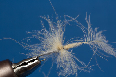 Split Wing von oben