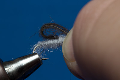 Loop �ber den Thorax legen