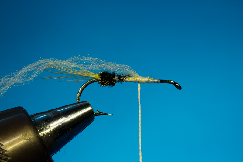 Doosfliege Floss anbinden