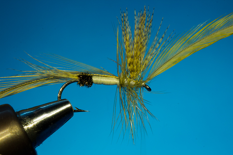 Doosfliege erste Hechel