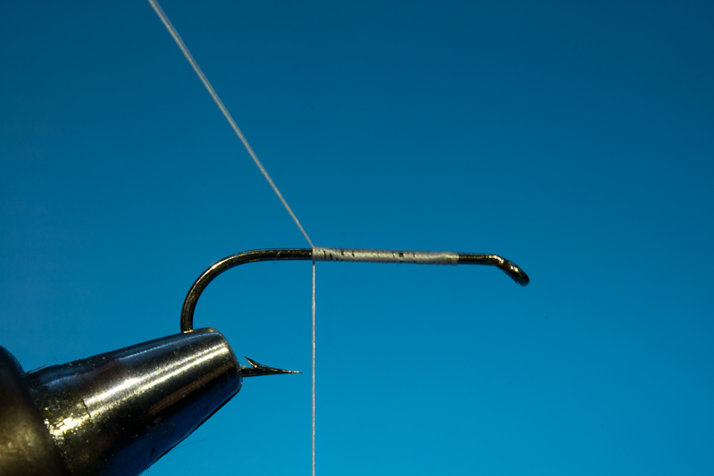 Doosfliege Grundwicklung