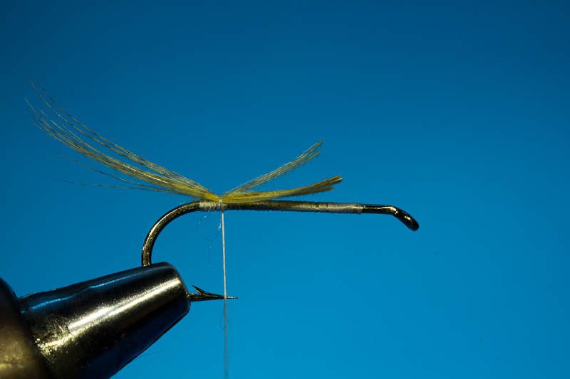 Doosfliege Schw�nzchen Einbinden
