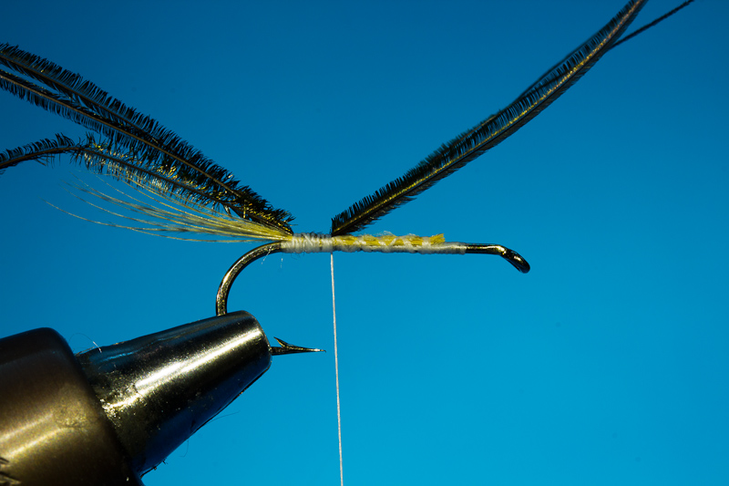 Doosfliege_Anleitung-5