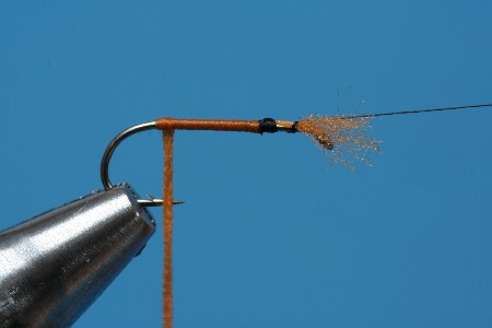 Floss nach hinten f�hren