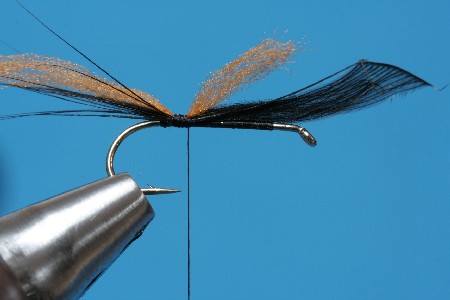 Grundwicklung Schwanz