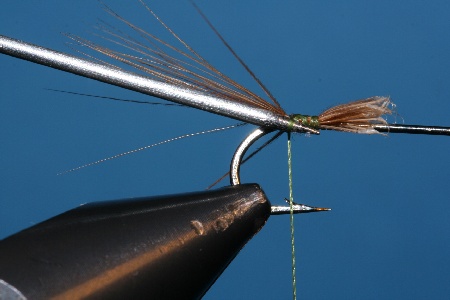 Windung �ber Hakenschenkel