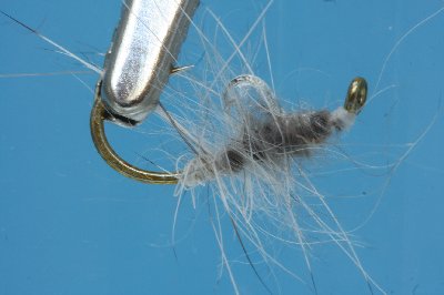 Kaninchen Schlaufentechnik nass
