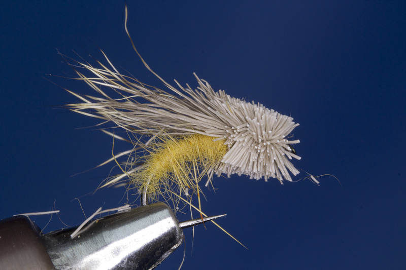 StreakingCaddis- Kopf fein trimmen