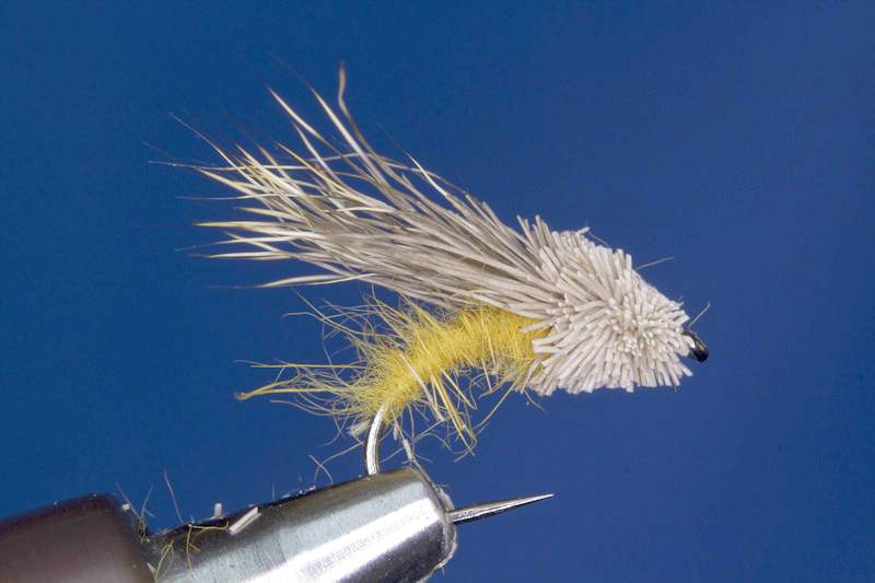 Streaking Caddis- fetig
