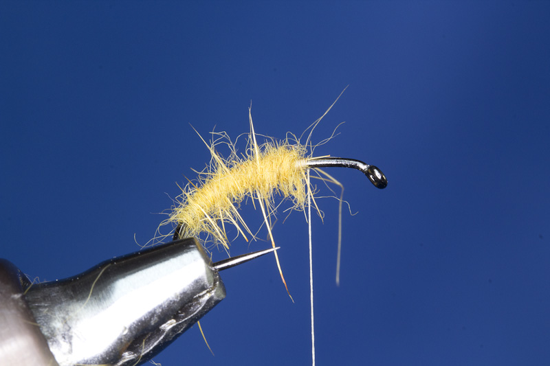 Streaking Caddis - K�rper