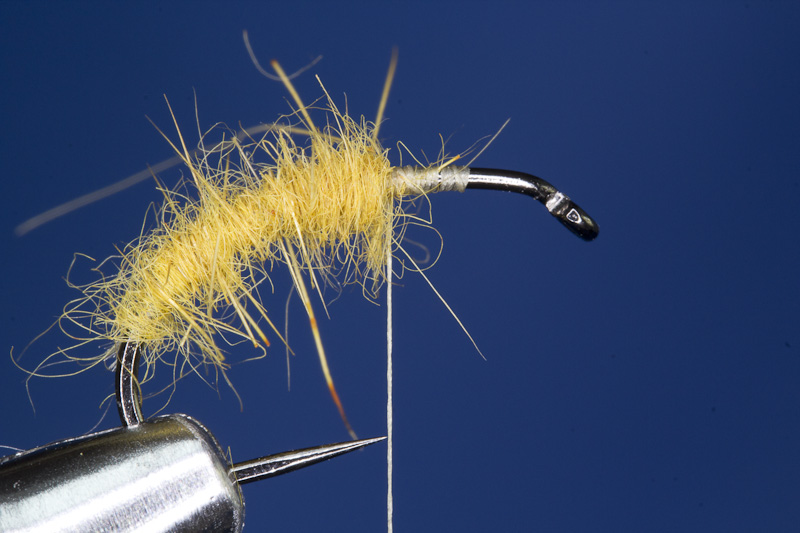 StreakingCaddis- Grundwicklung 2