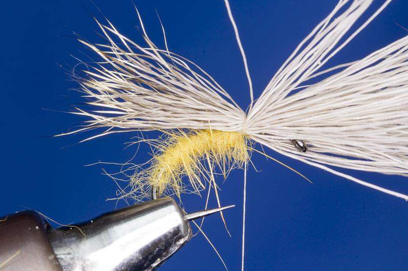 StreakingCaddis- Fl�gel anbinden