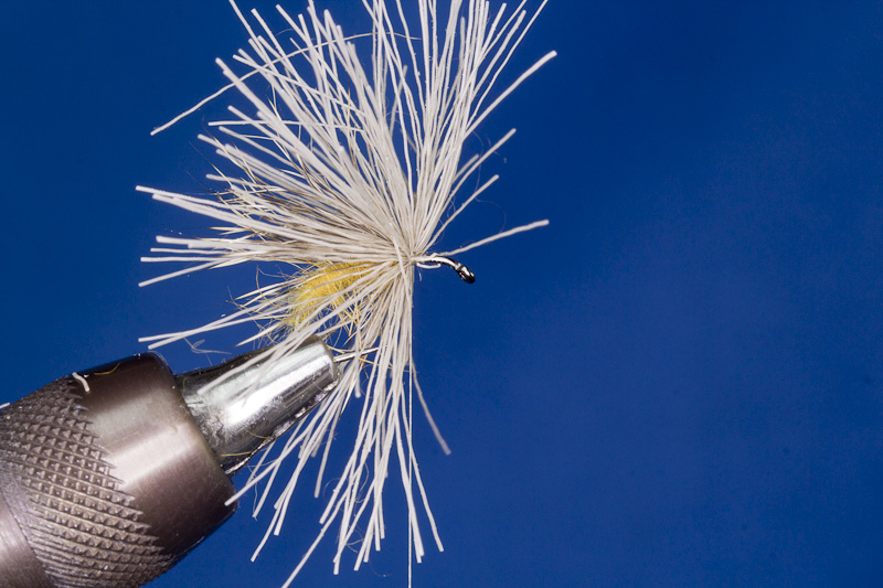 StreakingCaddis - Fl�gel fertig