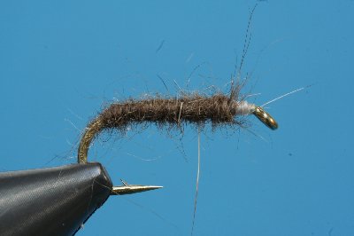Waschber Direkt gedubbed