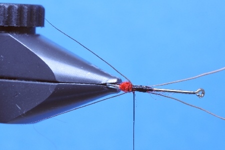 Zweifiber07