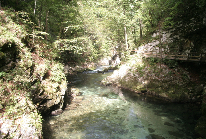Vintgar Schlucht