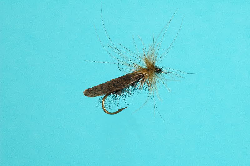 CDC-Caddis