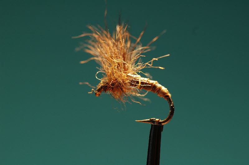 CDC-Emerger