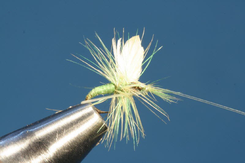 hellgr�ne Mini Dun 