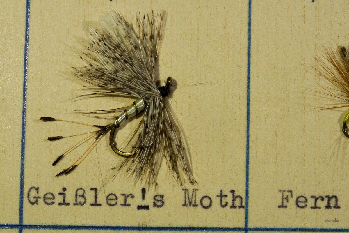 Gei�ler's Moth