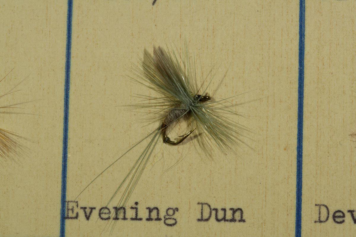 Evening Dun