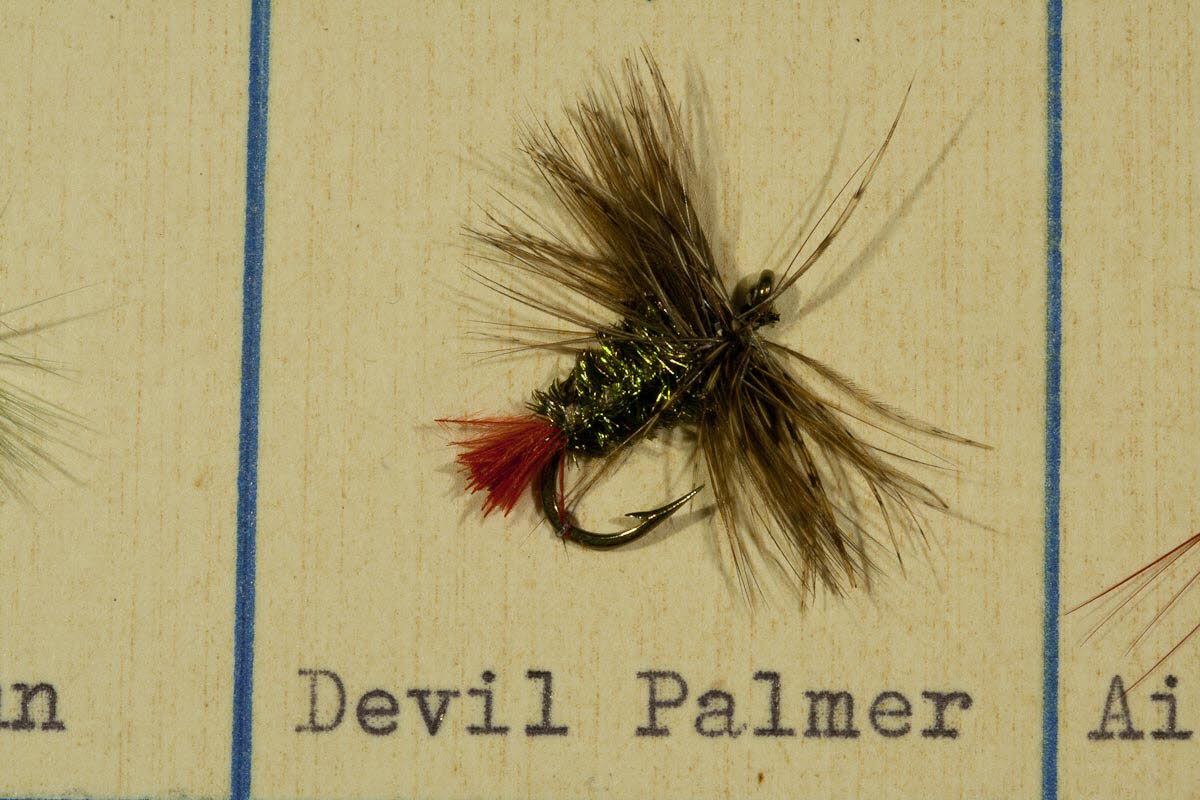 Devil Palmer