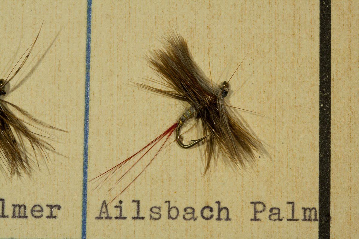 Ailsbach Palmer