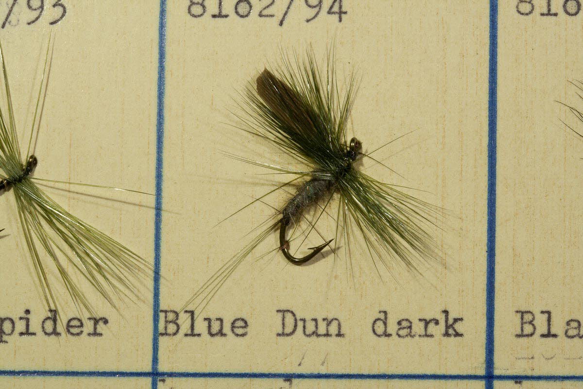 Blue Dun Dark