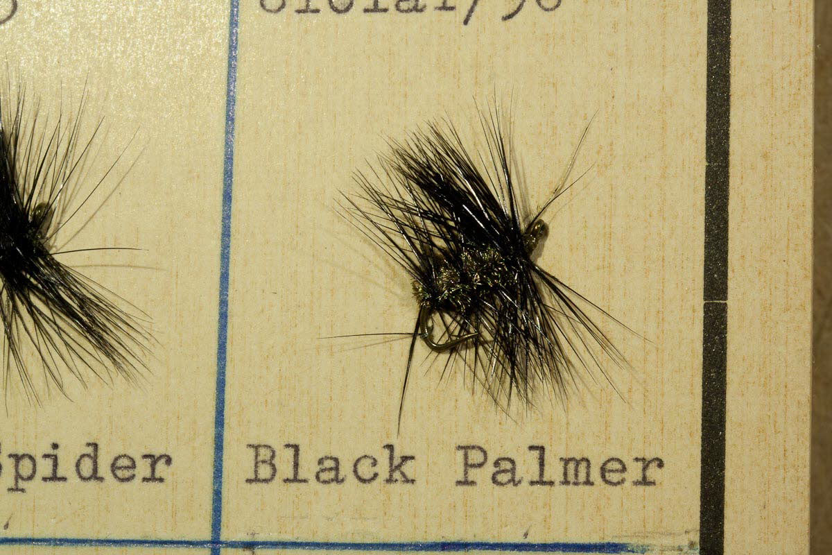 Black Palmer