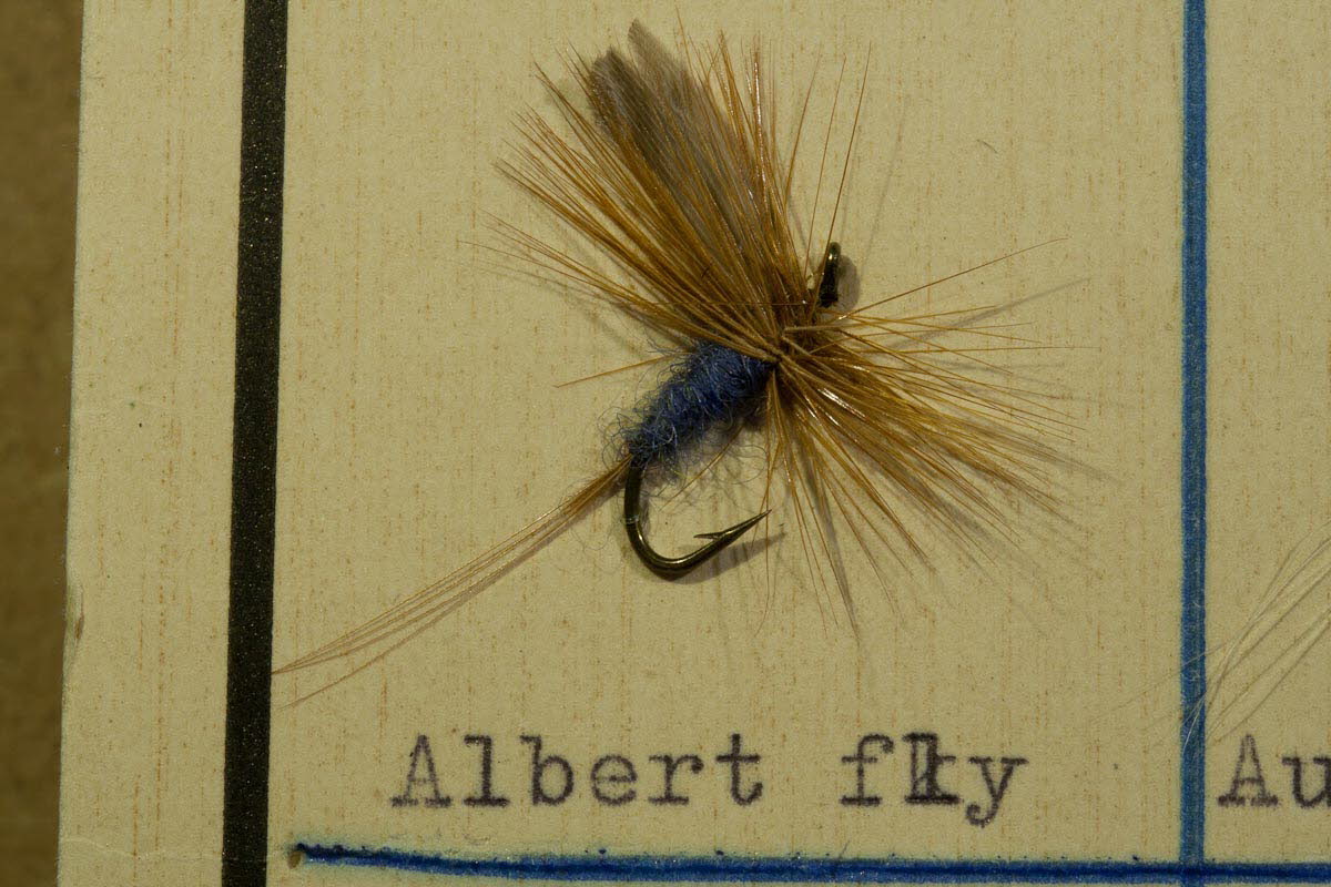 Albert Fly