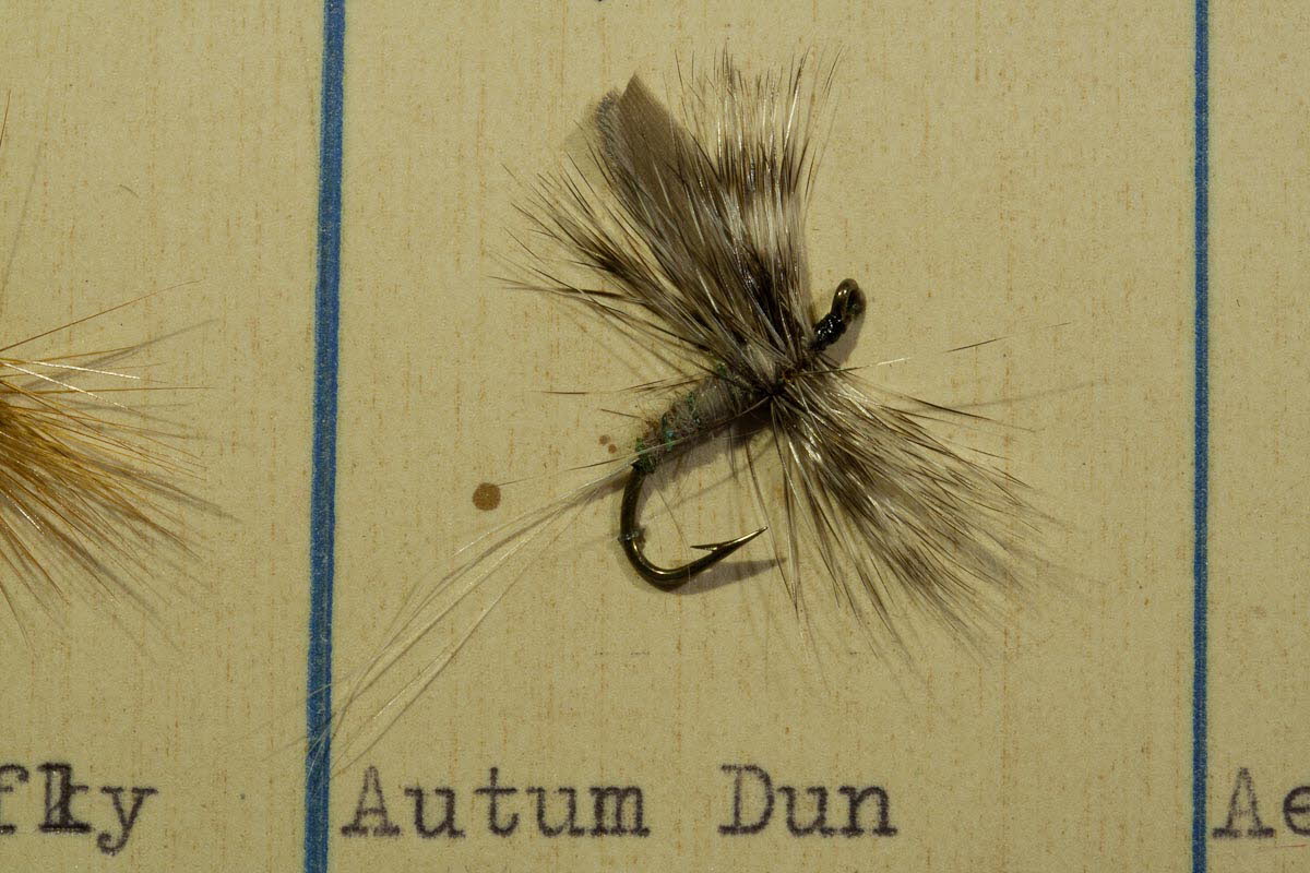 Autumn Dun