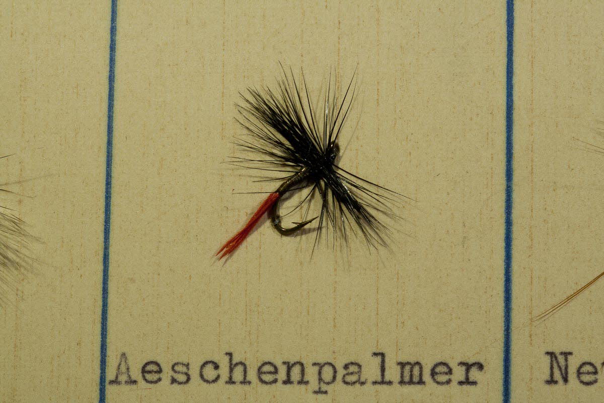 �schenpalmer