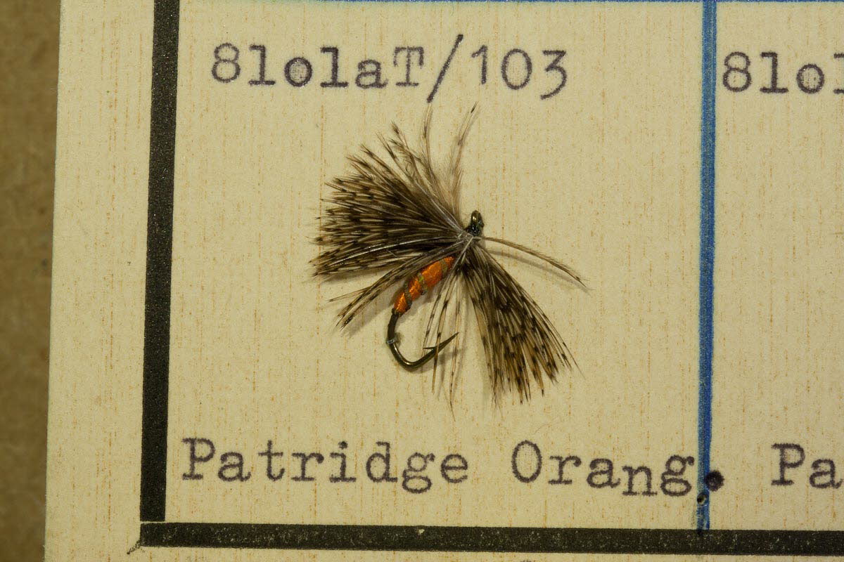 Partridge Orange