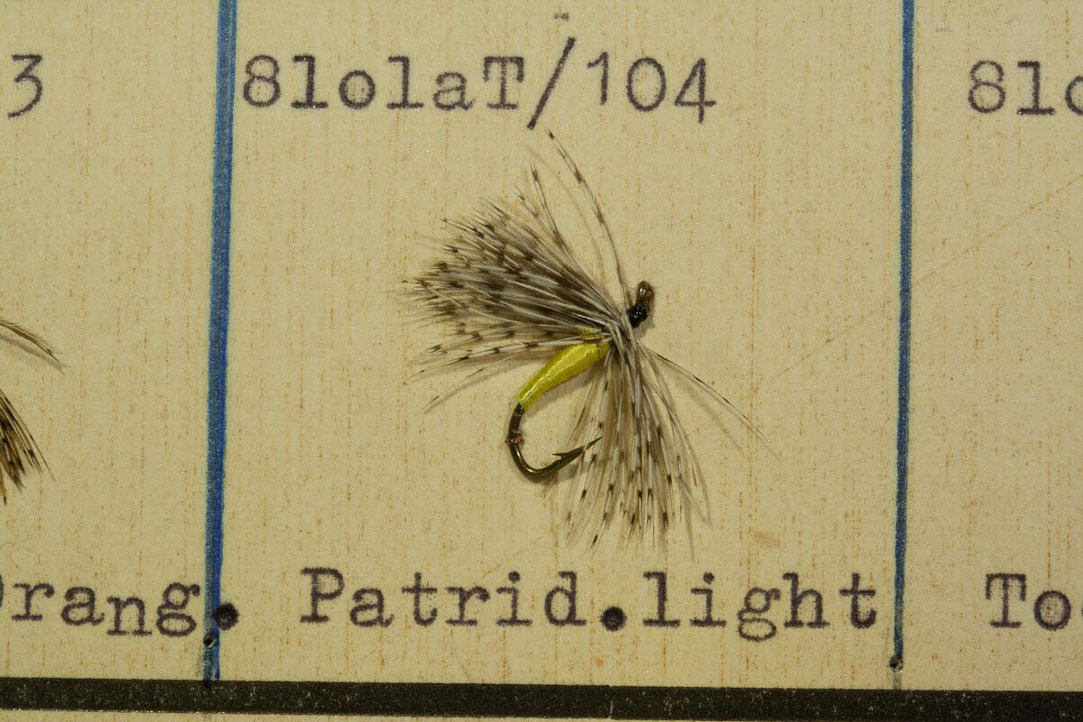 Partridge light