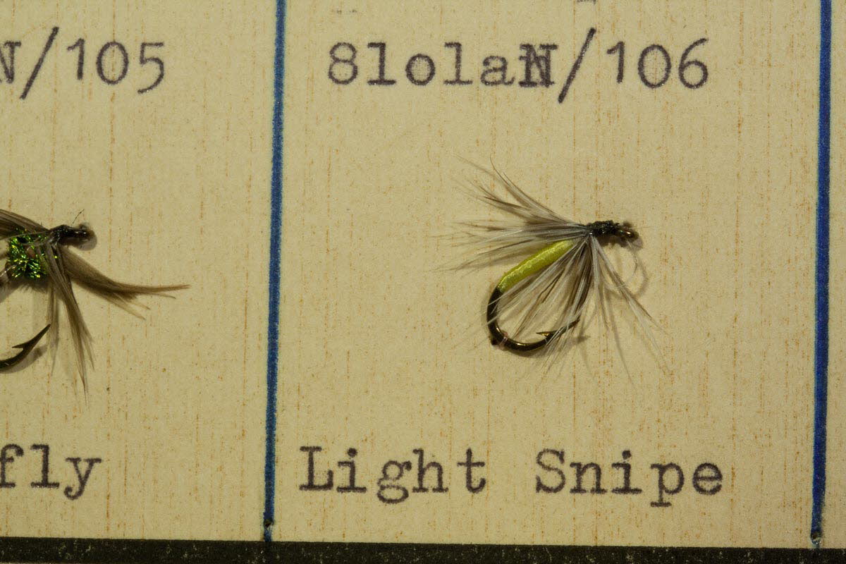 Light Snipe