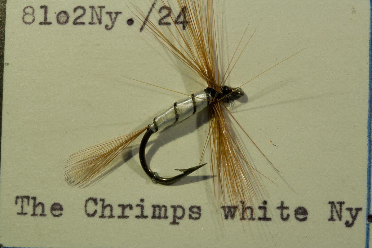 The Chrimps white