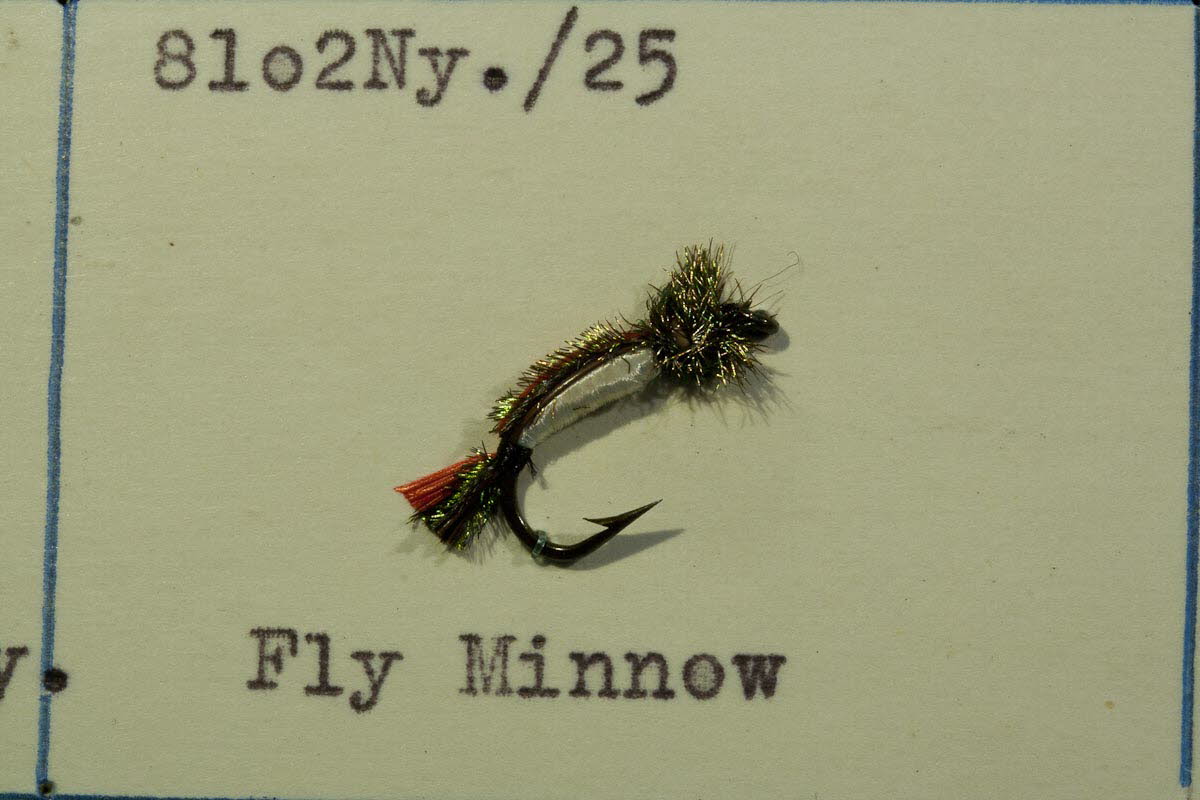 Fly Minnow