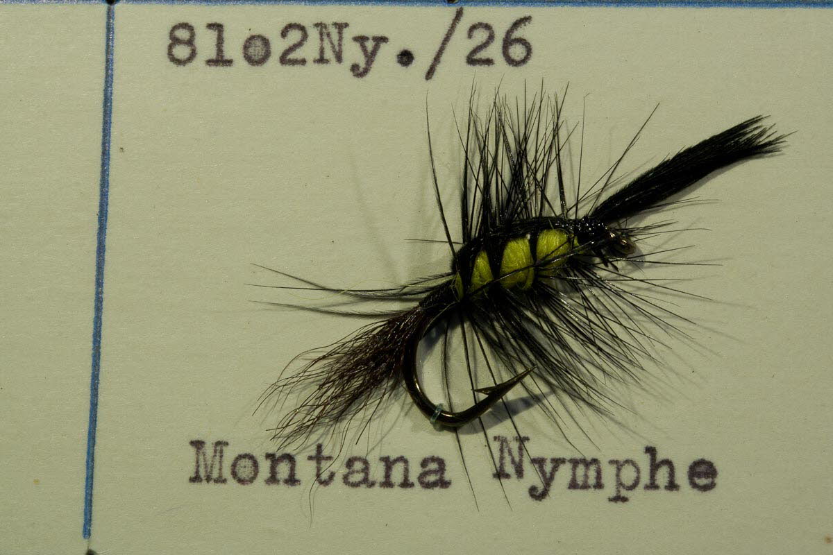 Montana-Nymphe