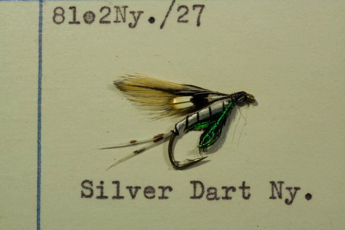 Silver Dart Nymphe