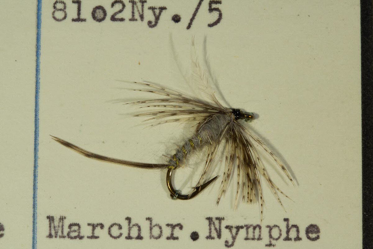 Marchbrown Nymphe