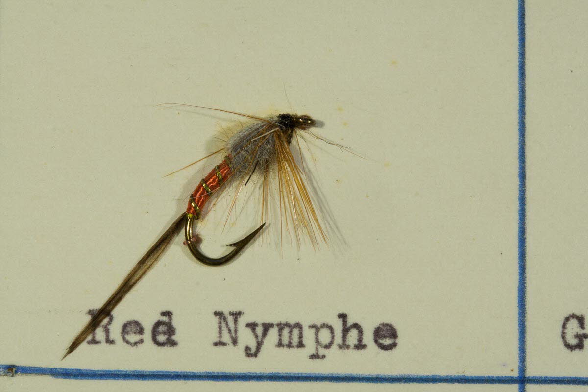 Red Nymphe