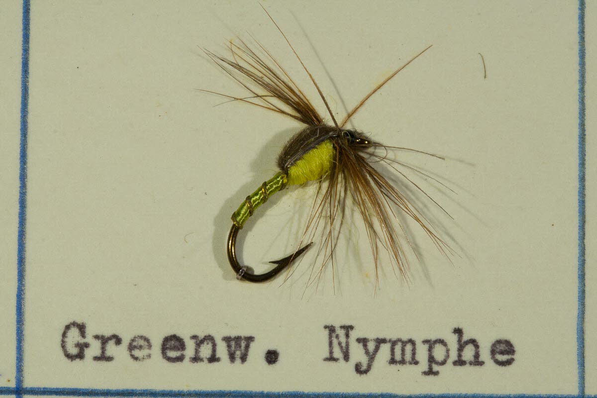 Greenwell's Nymphe
