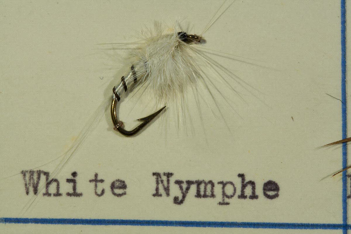White Nymphe