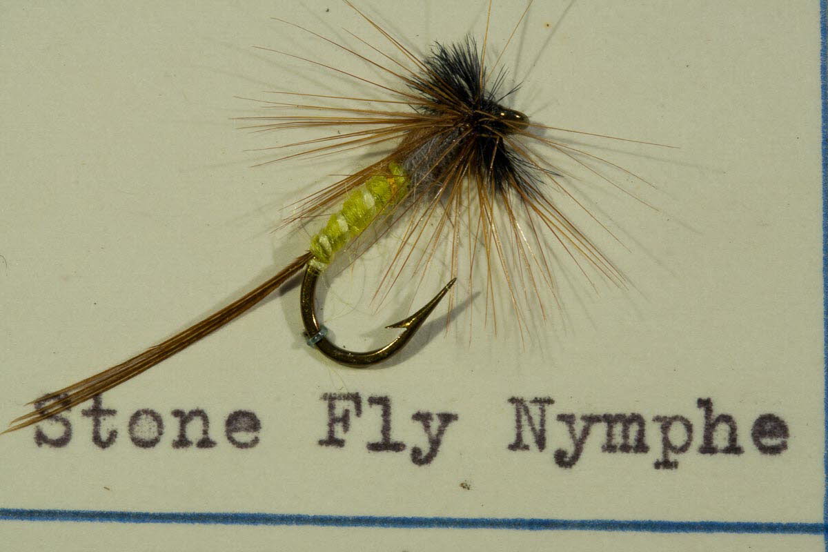 Stone Fly Nymph