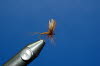 Braune Trockenfliege