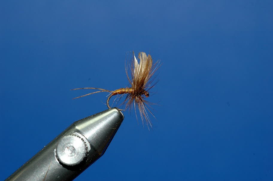 Braune Trockenfliege