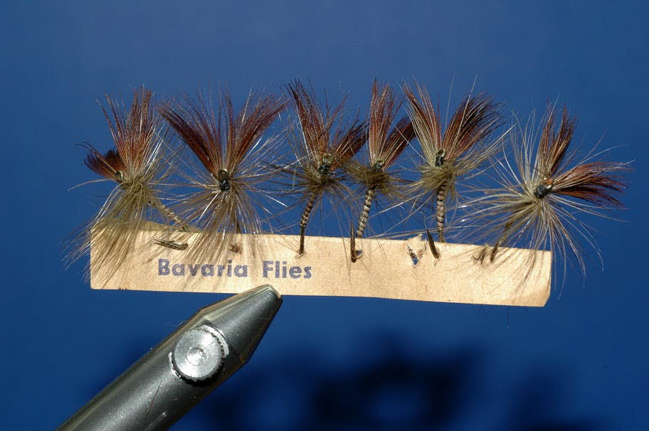 Coffin Flies