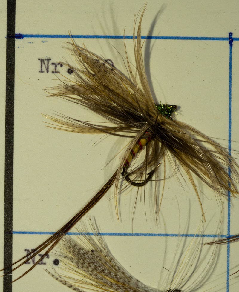 Nr. 50
