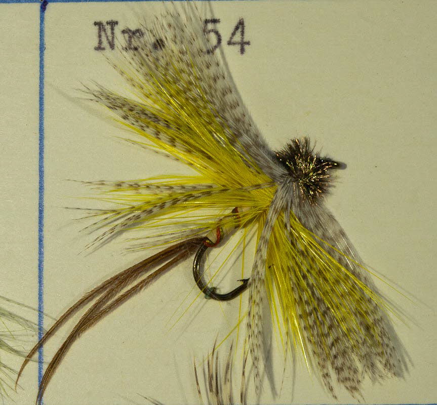 Nr. 54