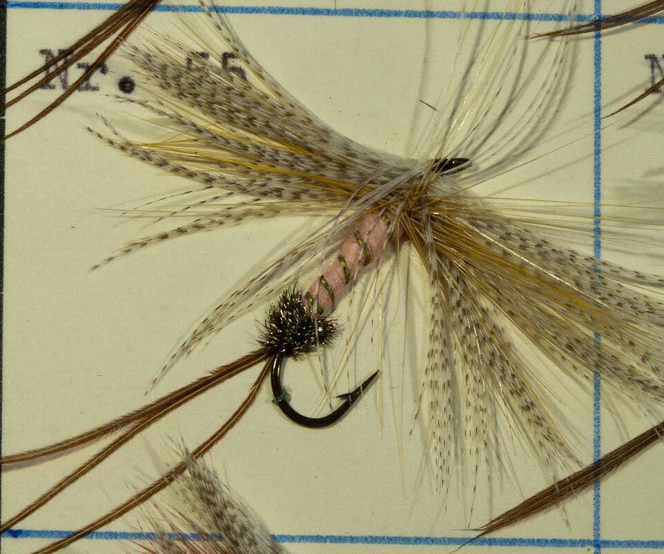 Nr. 55